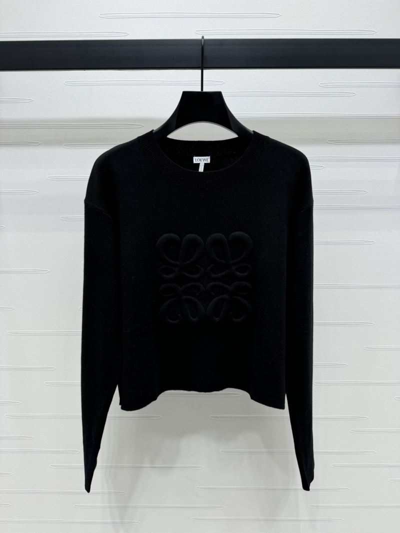 Loewe Sweaters